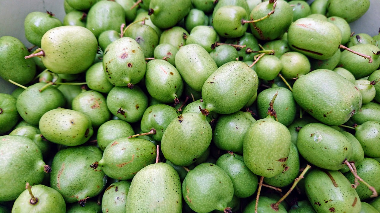 Hardy Kiwi (Actinidia arguta)