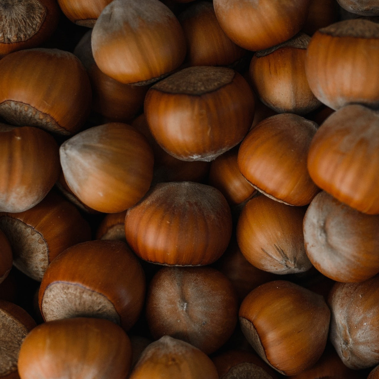 Mix and Match Hazelnut Bundle 20% Off